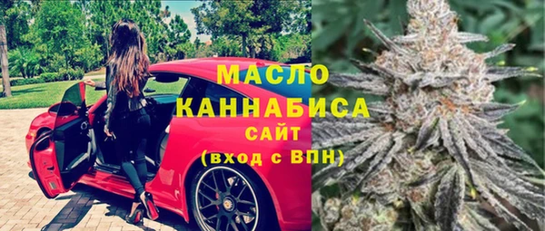 гидра Козловка