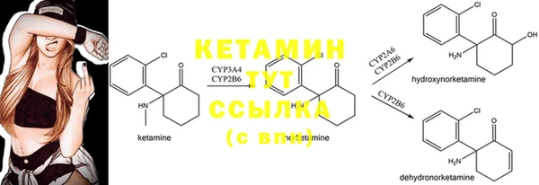 дмт Алексин