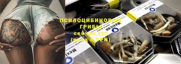 стафф Алзамай