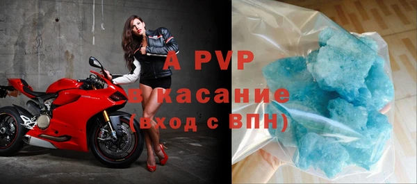 стафф Алзамай