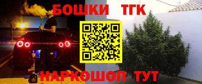 сатива Комсомольск-на-Амуре