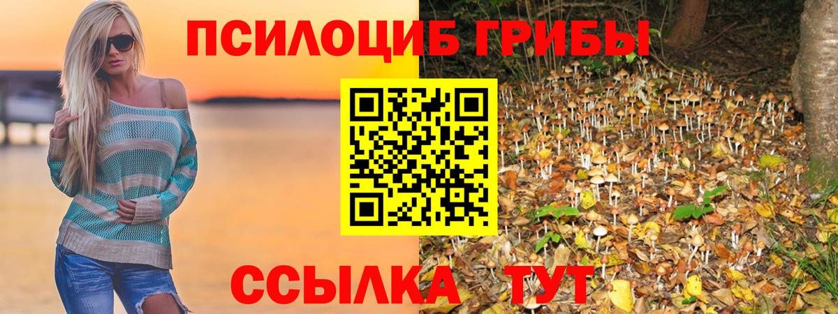 Кемерово  цены наркотик  Вход с VPN  Галлюциногенные грибы прущие грибы 